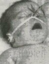 VASILIJE Marka DROBNJAK