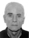 VOJISLAV – VOJO Milivoja JELIĆ
