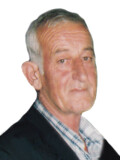 VIDOJE Radov NIKOLIĆ