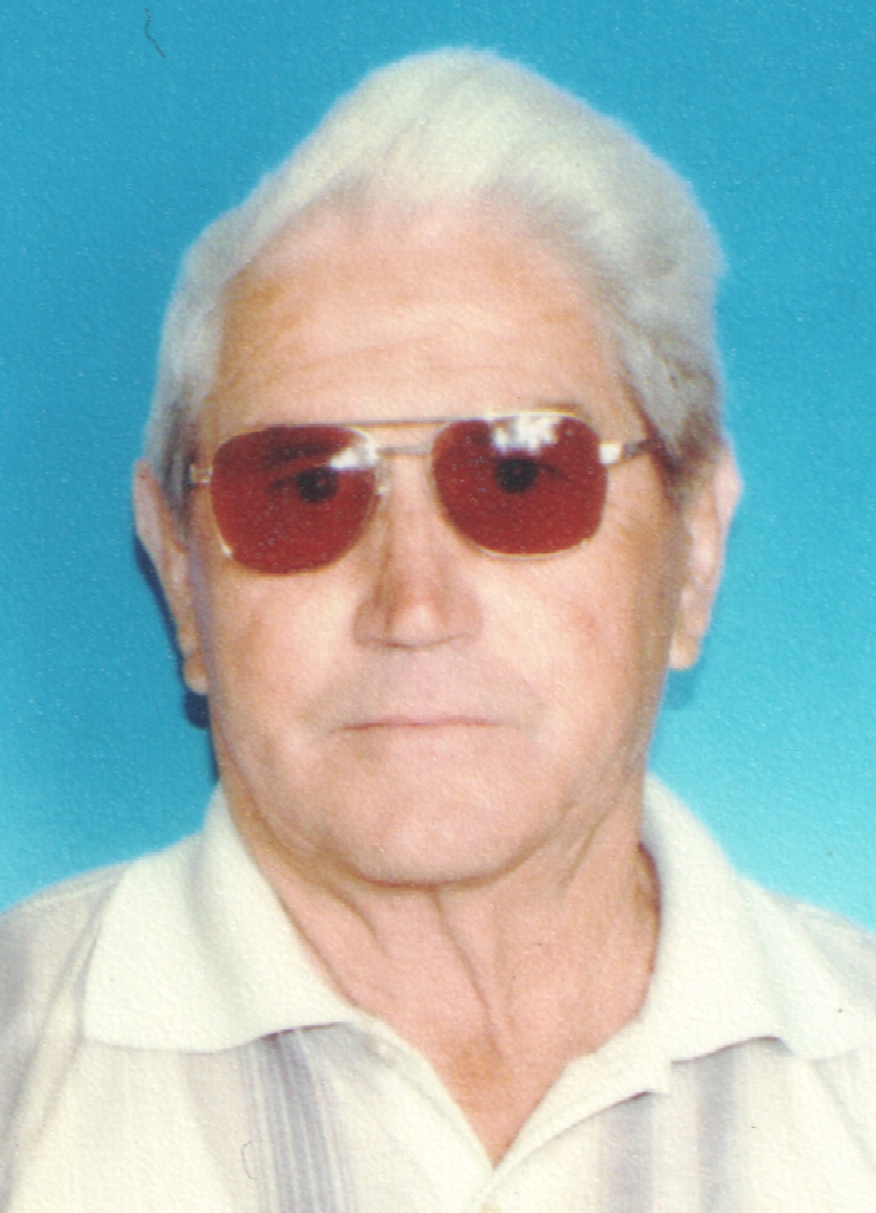 BOŽOVIĆ Pavla PUNIŠA