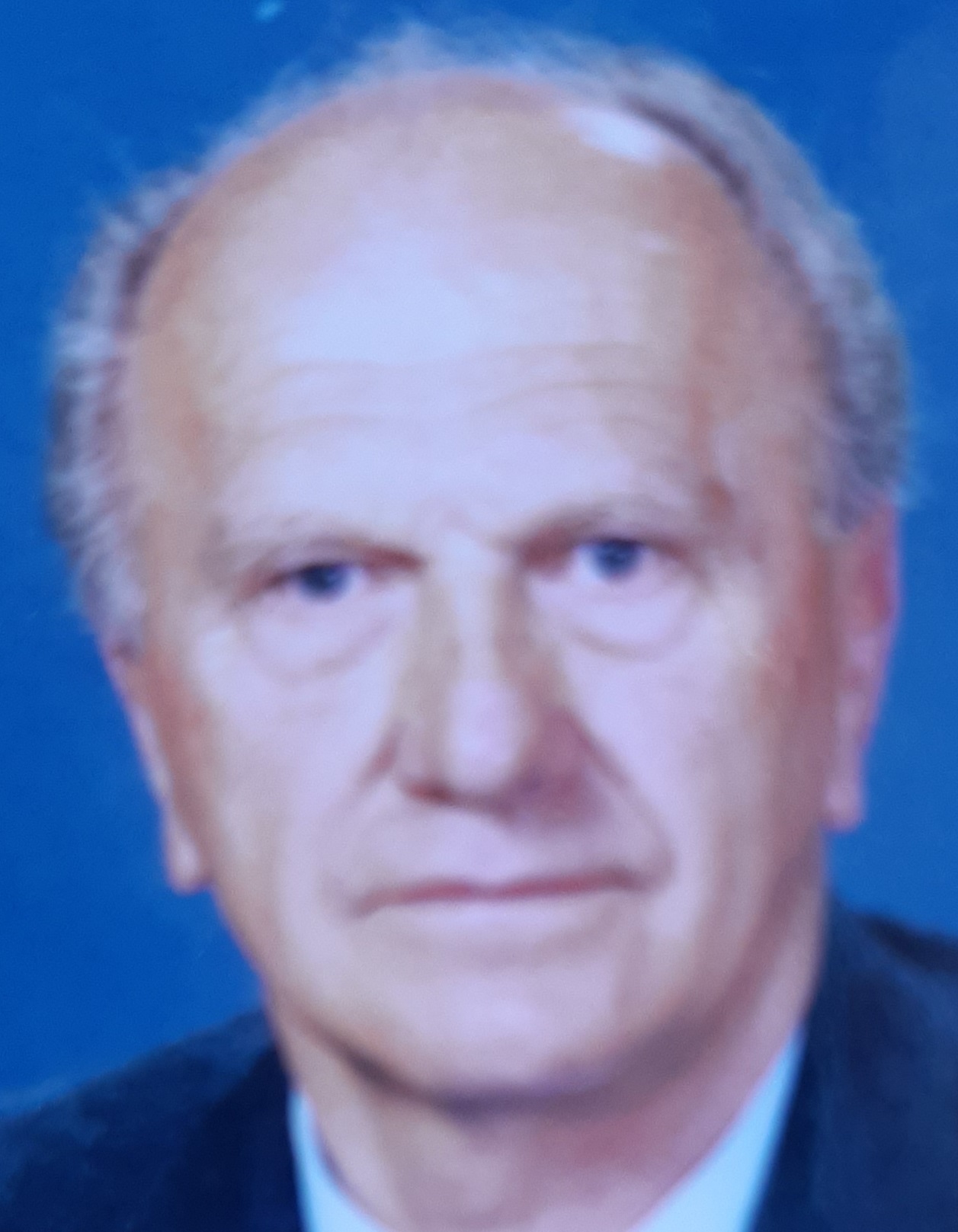 PUNIŠA ŠLJUKIĆ