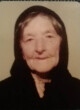 PLEMA Dušana DAMJANOVIĆ