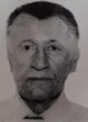 DRAGOMIR MILOVANOVIĆ