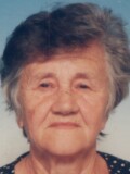 STOJA Pantova DABIĆ