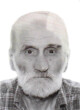 VESELIN Mitrov KOPRIVICA