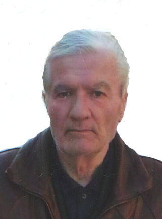 SLOBODAN PEROVIĆ