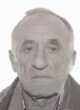 VITOMIR – ŽARKO Jovanov ČVOROVIĆ