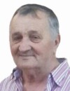 MILOŠ Božov DAMJANOVIĆ