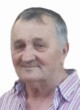 MILOŠ Božov DAMJANOVIĆ