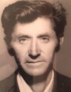MARKO Dušana MITROVIĆ