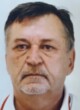 BUDIMIR – BUCKO Brankov VUKOVIĆ