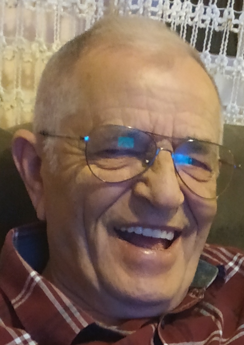 VUKO Vujice MILIKIĆ