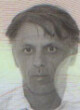 ZORAN Vladov LIPOVINA