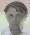ZORAN Vladov LIPOVINA