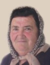 STEFA Zaka ZLATIČANIN
