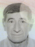 VELIŠA – VELJO M. MEĐEDOVIĆ