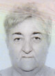 ZAGORKA Mihajla ZIROJEVIĆ