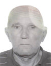 MIROJE Pavlov BABIĆ