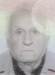 MILAN Mijuška MEĐEDOVIĆ