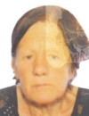 PERSA Radulova JOVANOVIĆ