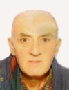 BRANISLAV Vojinov ŠIKMANOVIĆ
