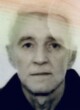 JOVAN Vladimirov ALEKSIĆ