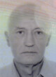 DRAGUTIN Jovana KOSTIĆ