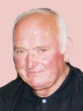 MILAN Dragišin VUJISIĆ
