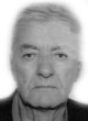 DESIMIR – DRAGO Radosava BULATOVIĆ