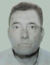PUNIŠA M. JOVANOVIĆ