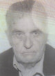 DRAGICA Nikole LOJOVIĆ