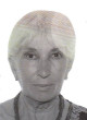 JELENA LASICA