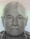 RELJA Radomana OSTOJIĆ