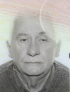 VLADIMIR Dušana KOSOVIĆ
