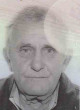 PAVLE Petrov NIKOLIĆ
