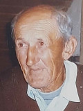MLAĐEN Đorđijev VIŠNjIĆ