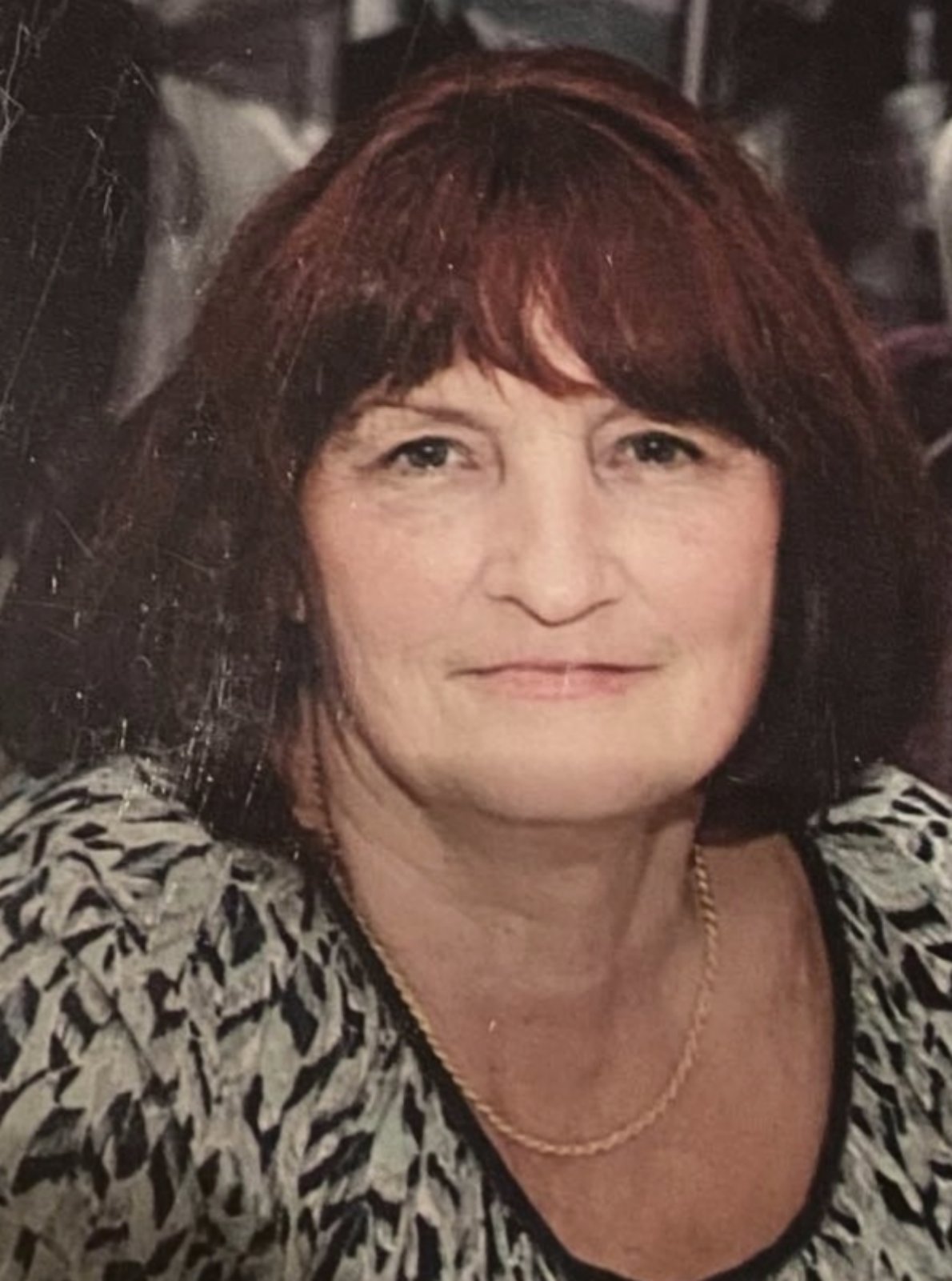 ČEDOMILA-ČEDA Dragoljuba VUJOŠEVIĆ