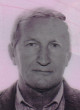 NENAD Raska TUŠEVLjAK