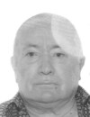 BOŠKO Mašanov DOMAZETOVIĆ