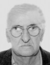 VASILIJE Ilijin PEČURICA