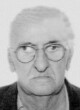 VASILIJE Ilijin PEČURICA