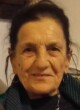 DOSTINjA Veselinova VUKAJLOVIĆ