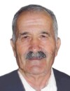 PAVLE Tomov ALBIJANIĆ