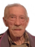 VOJISLAV – VOJO Pavlev DABANOVIĆ