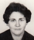 PERKA-PERSA Jovanova JOCOVIĆ