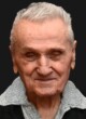 MILAN Todor ILIĆ