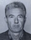  VELIMIR NIKPALOVIĆ 