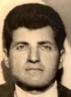 VESELIN Mirkov RADOVIĆ
