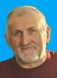 MIROSLAV Sava PALEVIĆ