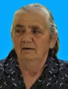  ZORKA L. GRDINIĆ 